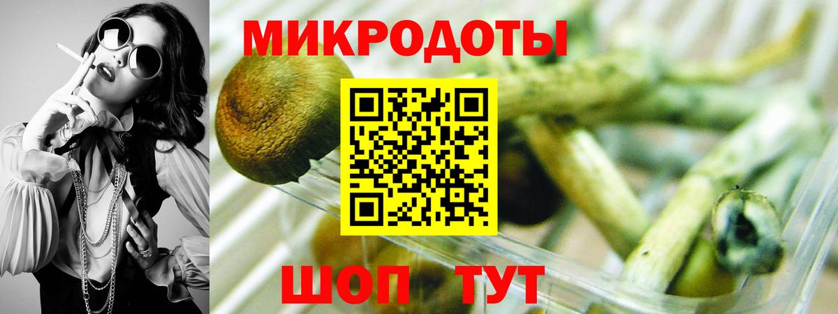 Псилоцибиновые грибы прущие грибы Изобильный
