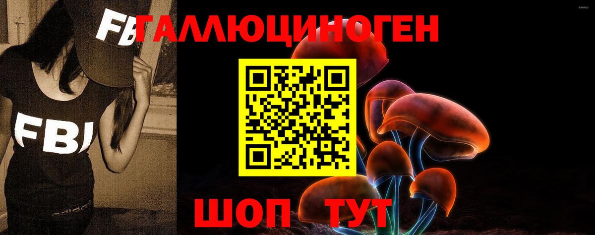 Псилоцибиновые грибы MAGIC MUSHROOMS  Вход с VPN  Изобильный  Псилоцибиновые грибы прущие грибы 